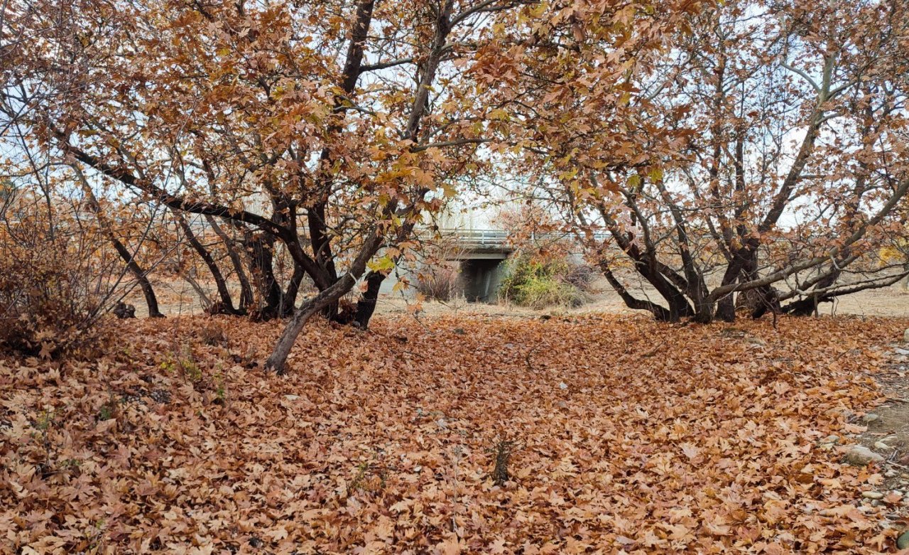 Gördes’te sonbahar manzaraları mest etti