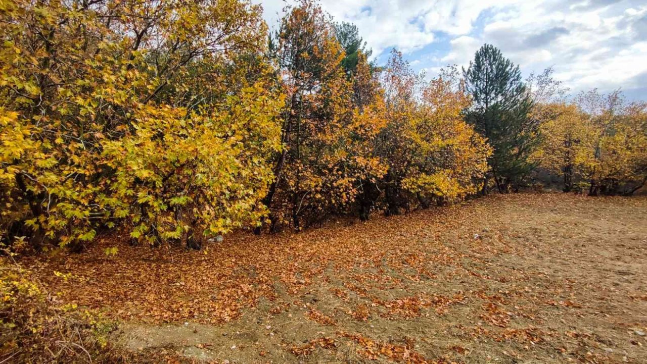 Gördes’te sonbahar manzaraları mest etti