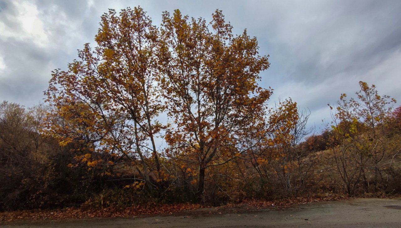 Gördes’te sonbahar manzaraları mest etti