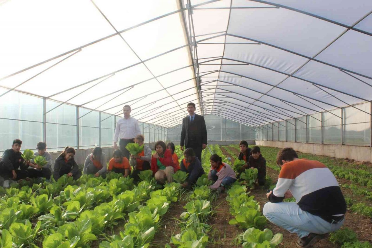 Milli Eğitim Müdürü Çay, Köyceğiz’de tarım uygulamalarına katıldı