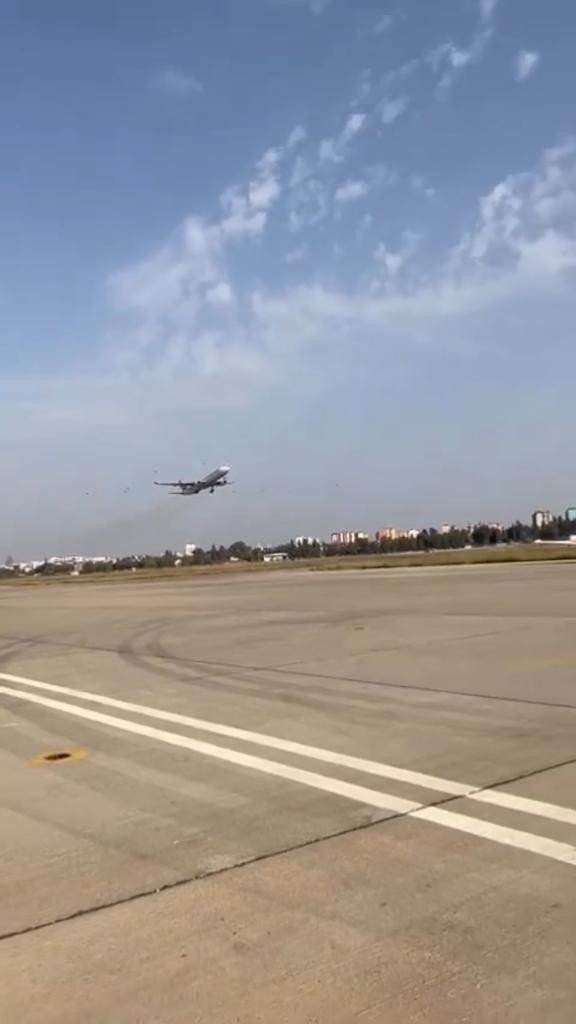 Uçak kuş sürüsüne çarpmamak için pisti pas geçti