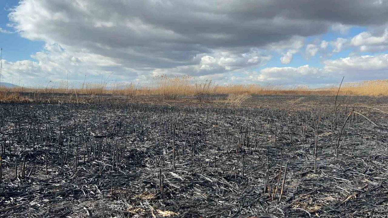 Eber Gölü’nde ardı ardına çıkan yangınlar gizemini koruyor