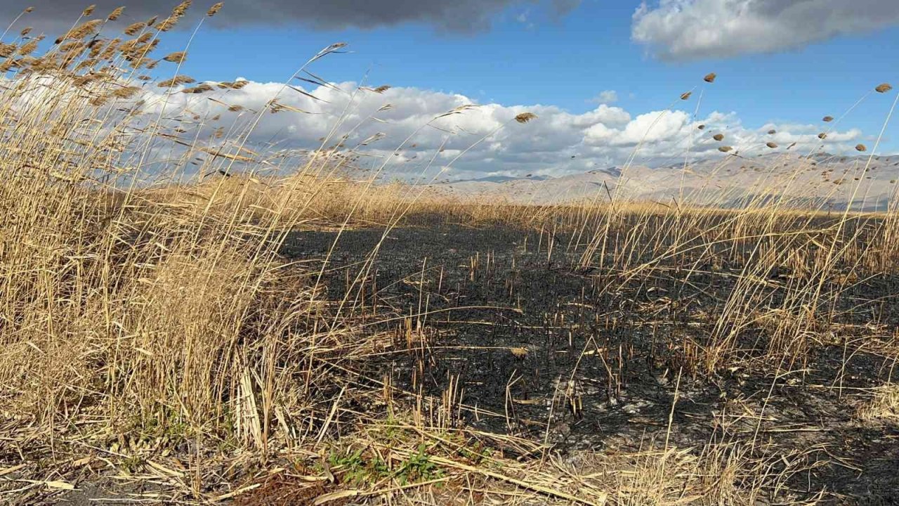 Eber Gölü’nde ardı ardına çıkan yangınlar gizemini koruyor