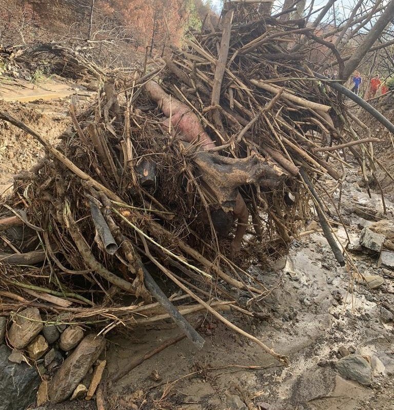 Mersin’de sele kapılan kadın hayatını kaybetti