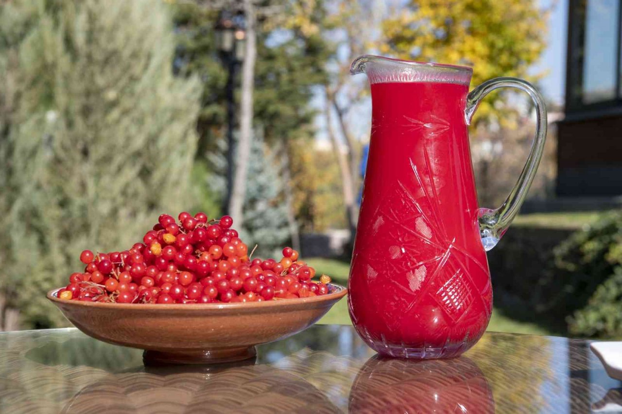 Doktor Başkan’dan sağlık için gilaburu tavsiyesi