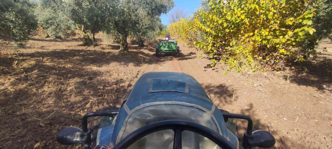 Soğuk ve çamur onları durdurmuyor...Hasat yapıyorlar