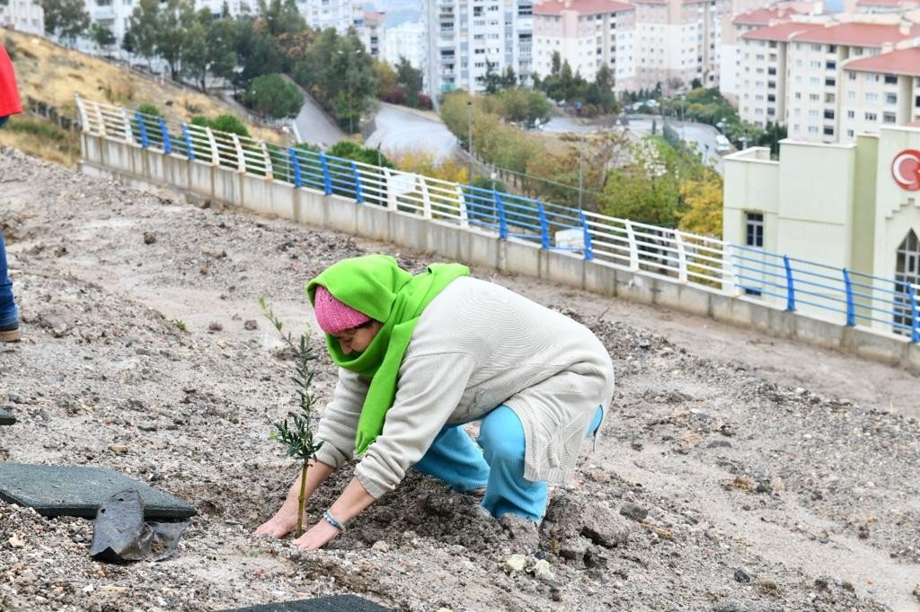 Çiğli’de 346 kadın için zeytin fidanları toprakla buluşturuldu