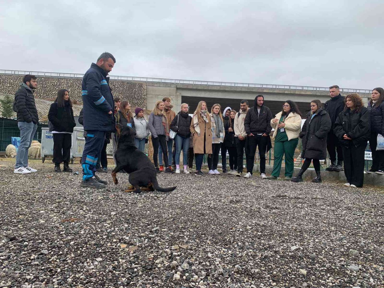 Çek veteriner adaylarından sokak hayvanları rehabilitasyon merkezine ziyaret