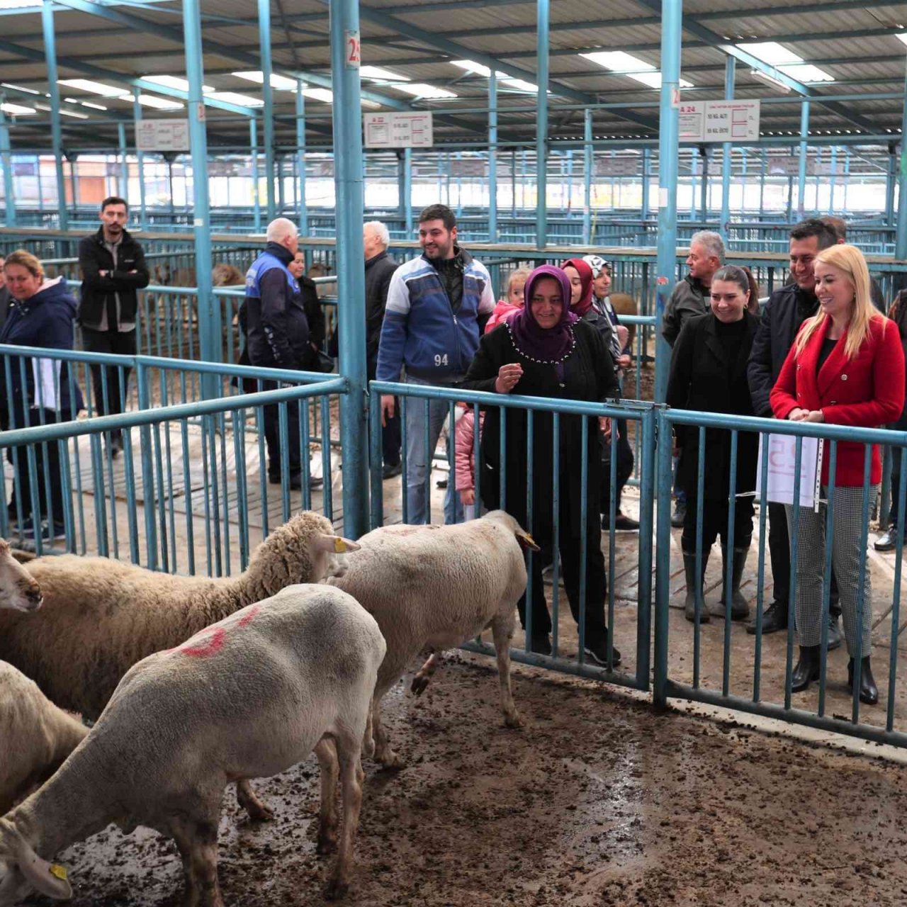 Kadın üreticilere küçükbaş hayvan ve yem desteği sağlandı