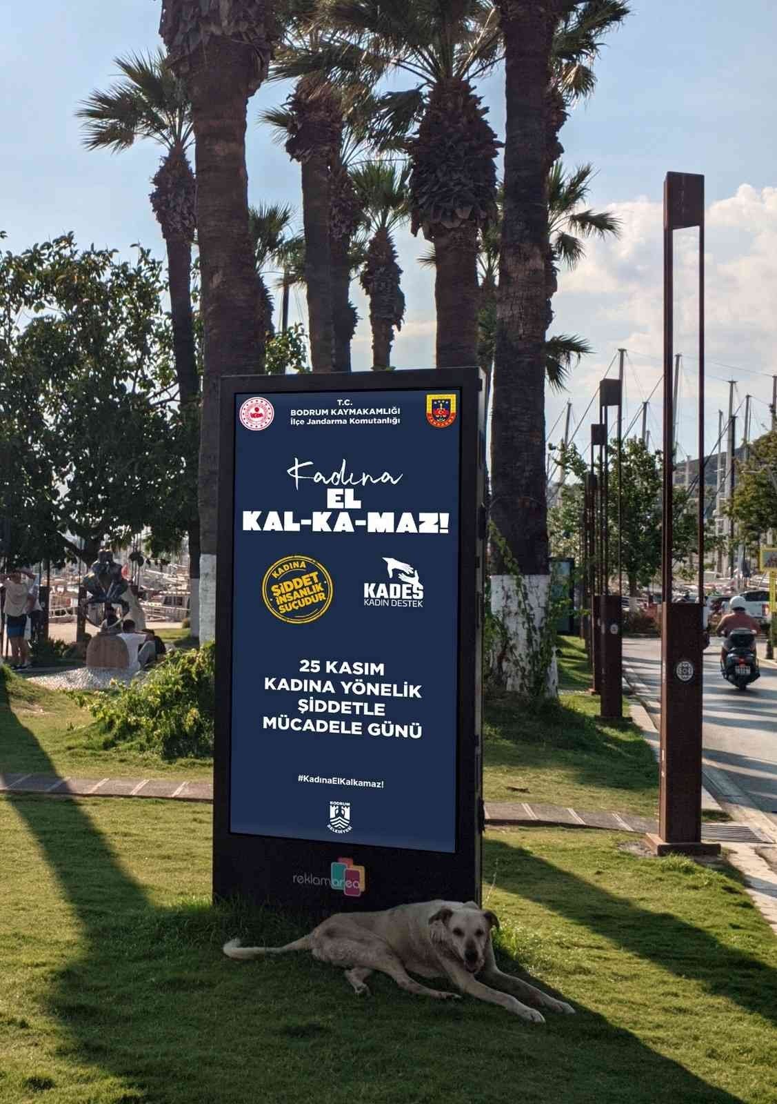 Jandarmadan 25 Kasım etkinlikleri