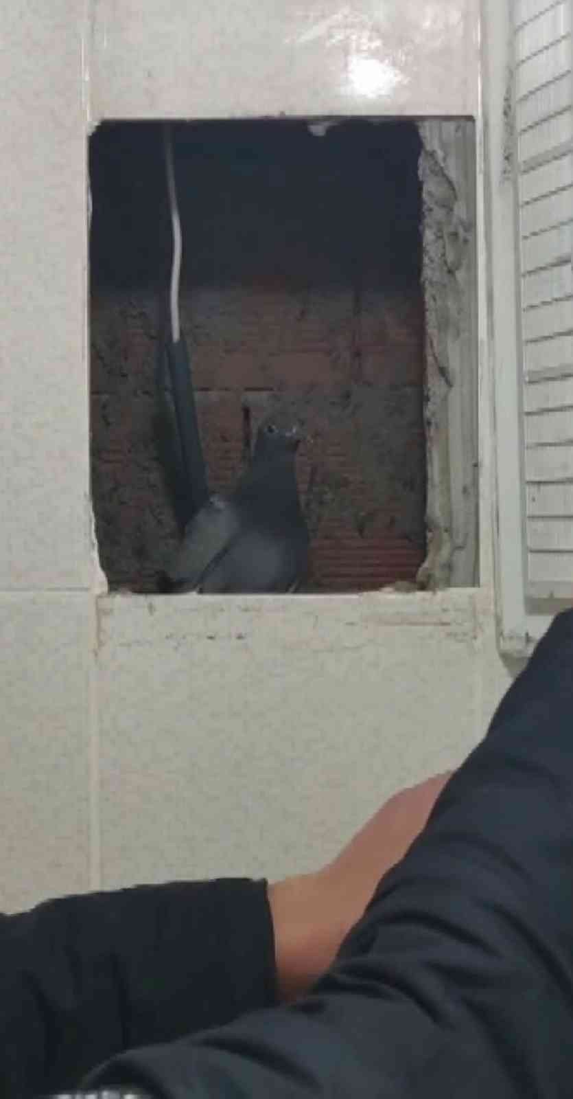 Havalandırma boşluğunda mahsur kaldı, itfaiye sayesinde özgürlüğüne kavuştu