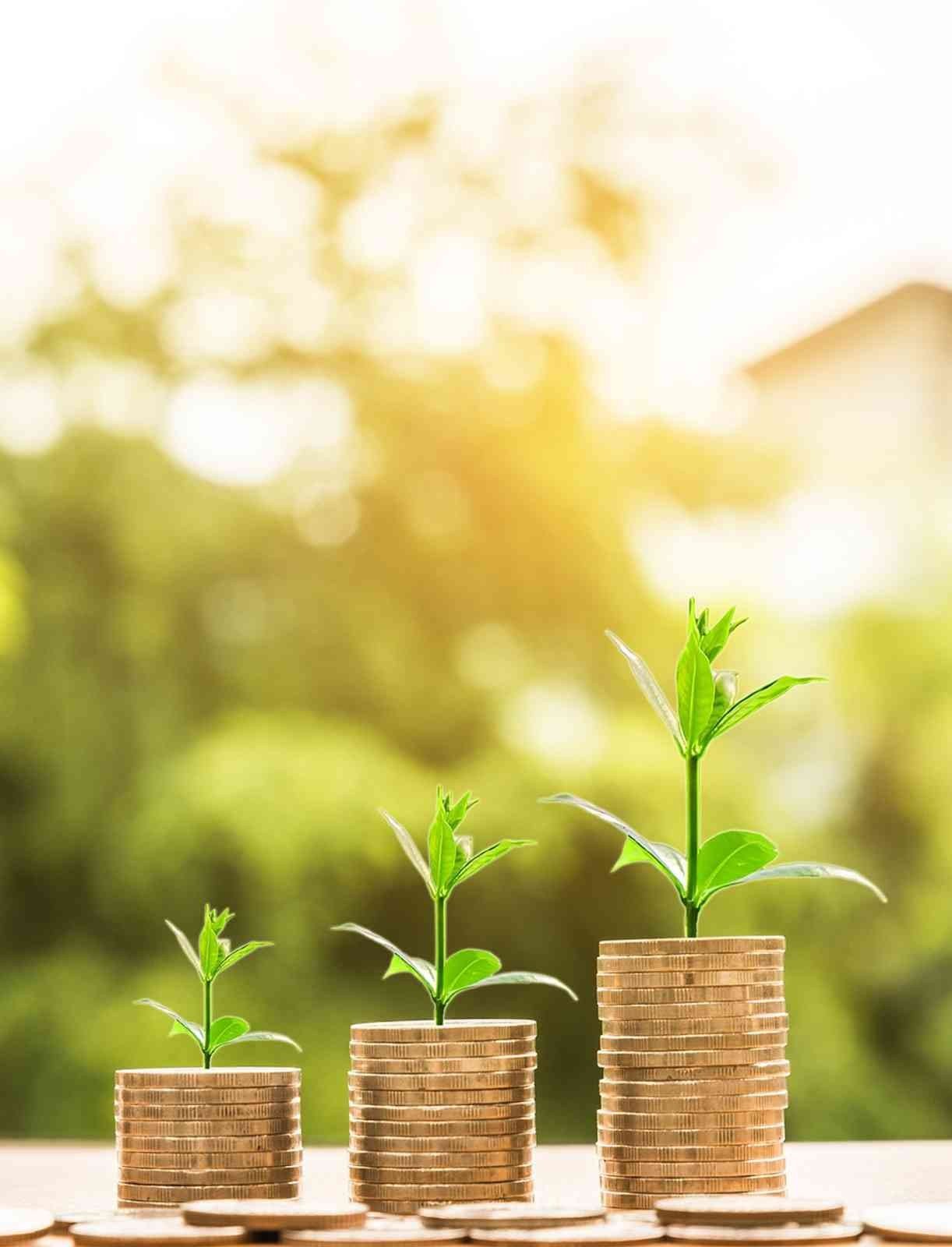 Merkez bankaları çevre dostu olma hedefinde