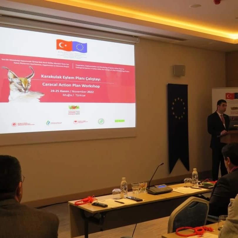 Karakulak Türü Eylem Planı Çalıştayı Muğla’da yapıldı