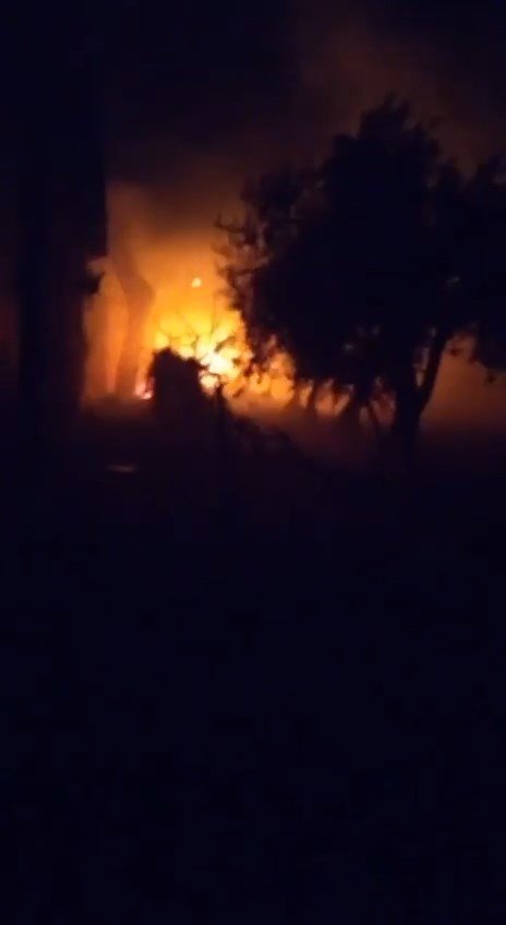 Bursa’da çiftlik alev alev yandı