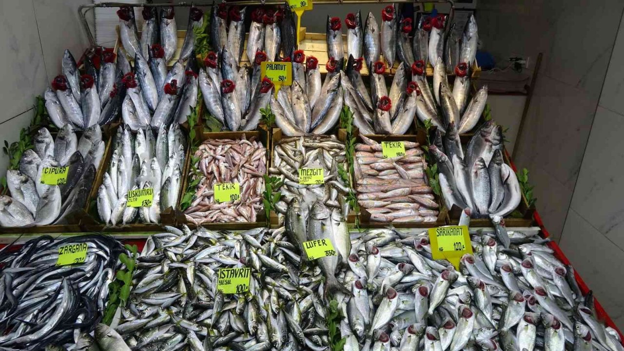 Lüfer ve palamut cep yakıyor