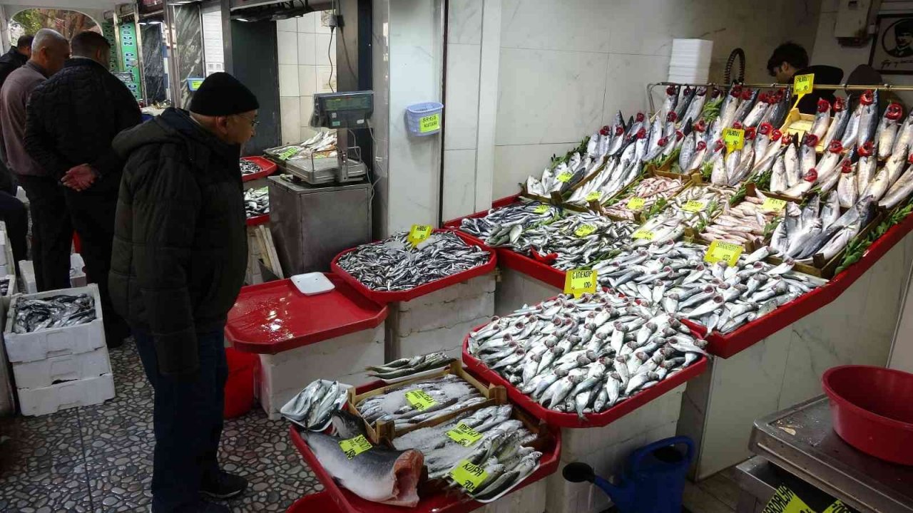 Lüfer ve palamut cep yakıyor