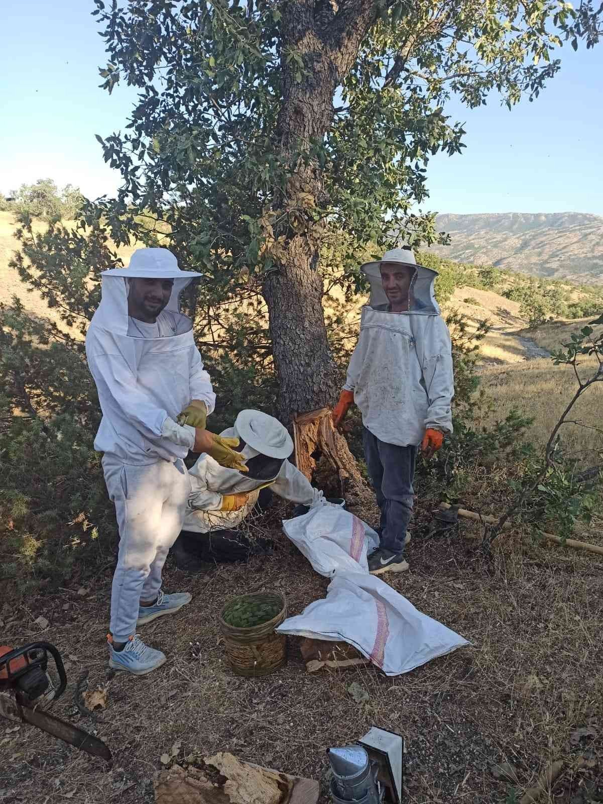 Elazığ’da arıların doğada ürettiği ballar bal avcıları tarafından toplanıyor