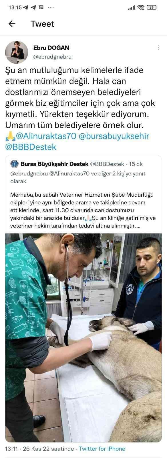 Hayvansever uyardı, Büyükşehir kurtardı