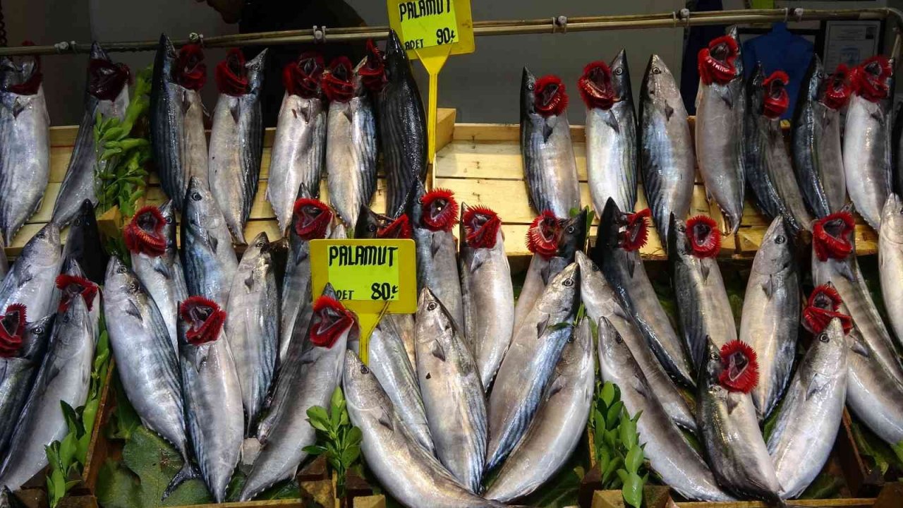 Lüfer ve palamut cep yakıyor