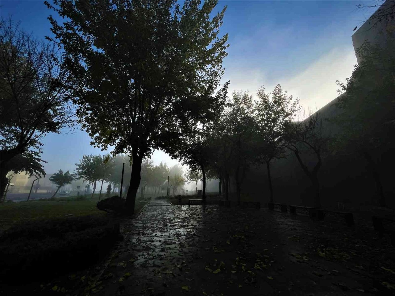 Diyarbakır’da yoğun sis tarihi ilçede görsel şölen oluşturdu