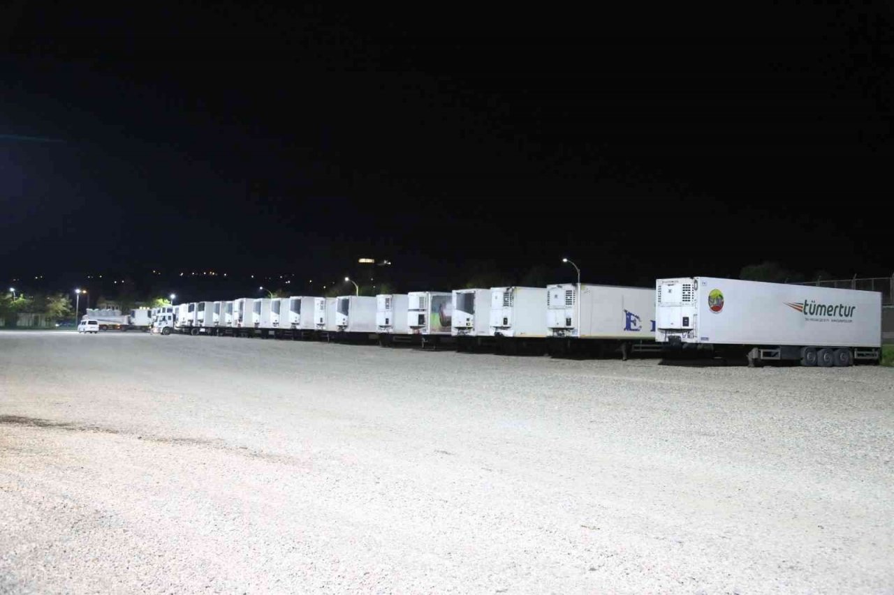 Ünye Limanı dünyaya açıldı