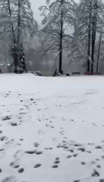 Borçka Karagöl’e mevsimin ilk karı yağdı