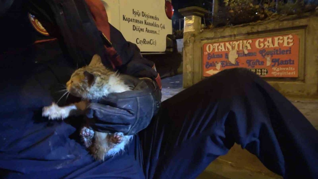 Isınmak için girdiği motor bölümünde mahsur kalan kedi kurtarıldı