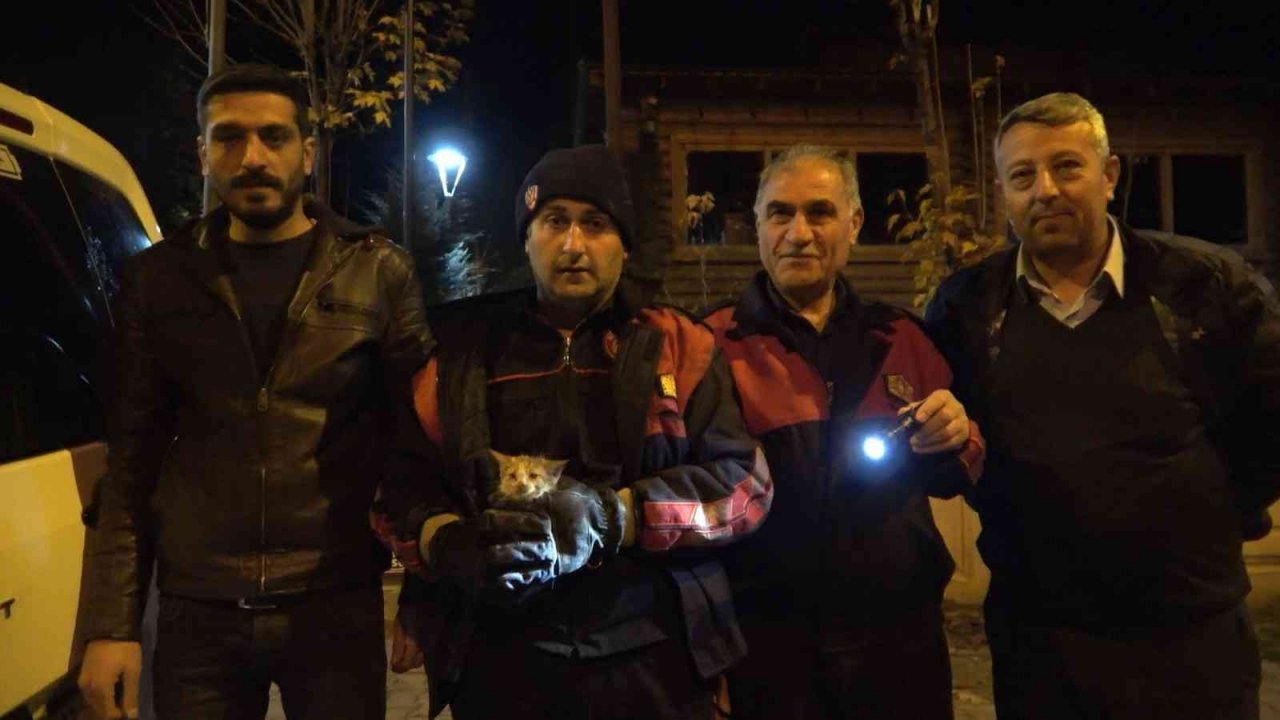 Isınmak için girdiği motor bölümünde mahsur kalan kedi kurtarıldı