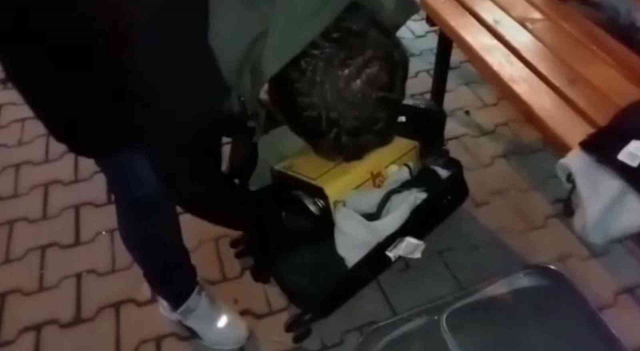 Otomobilde yağ tenekelerine gizlenmiş 6 kilo 850 gram esrar ele geçirildi: 3 gözaltı