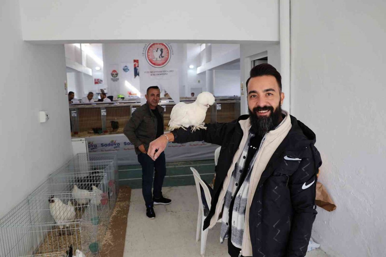 Menteşe’de kümes hayvanları gösterisi