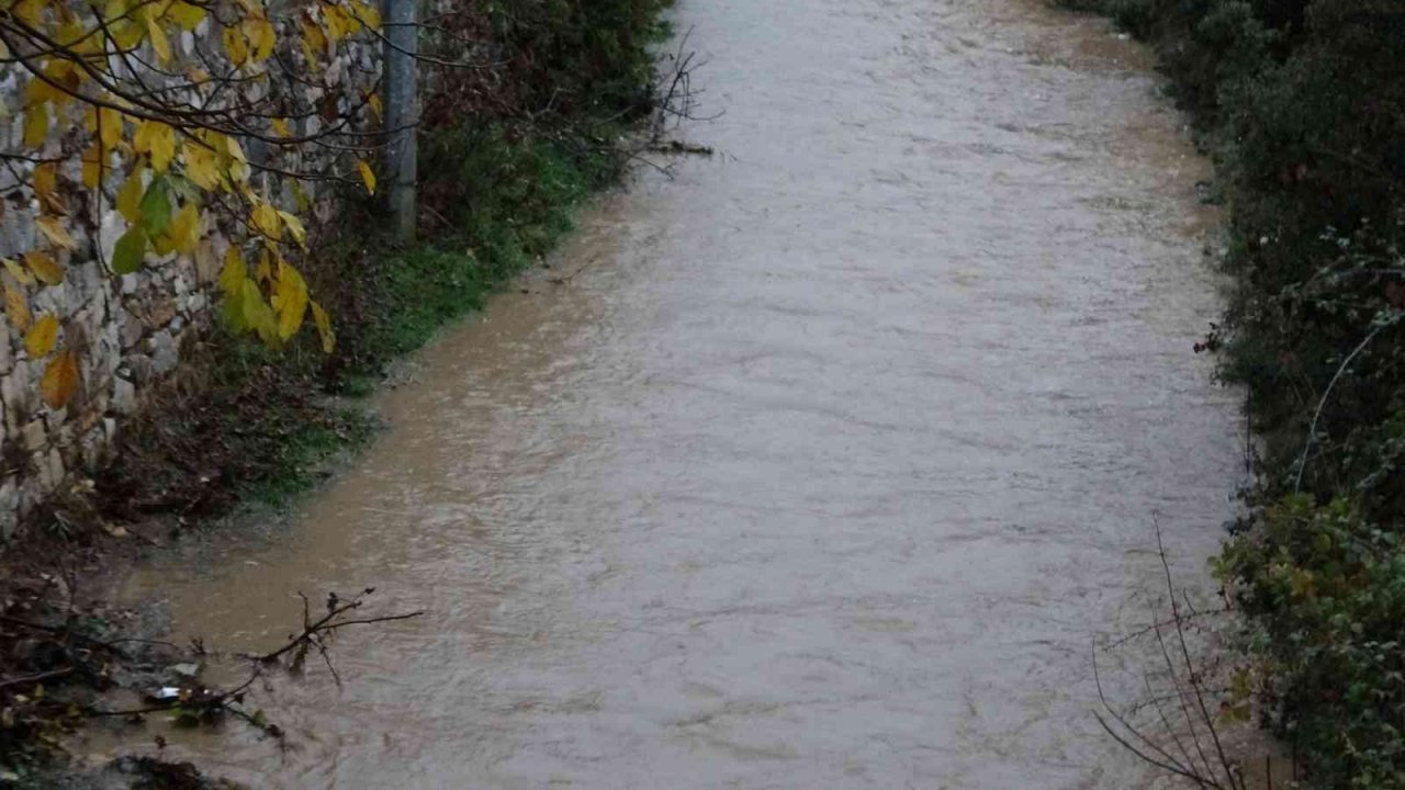 Muğla’ya yılın ilk karı düştü