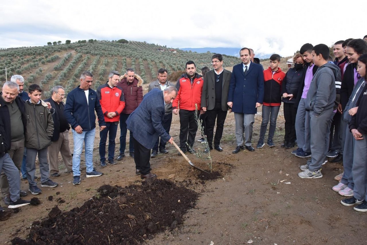 Muğla’da ’Dünya Zeytin Günü’ kutlandı