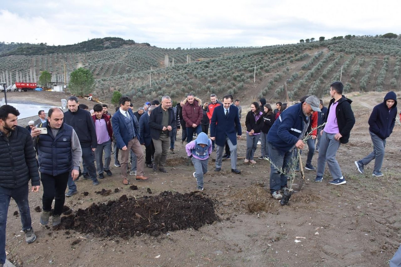 Muğla’da ’Dünya Zeytin Günü’ kutlandı