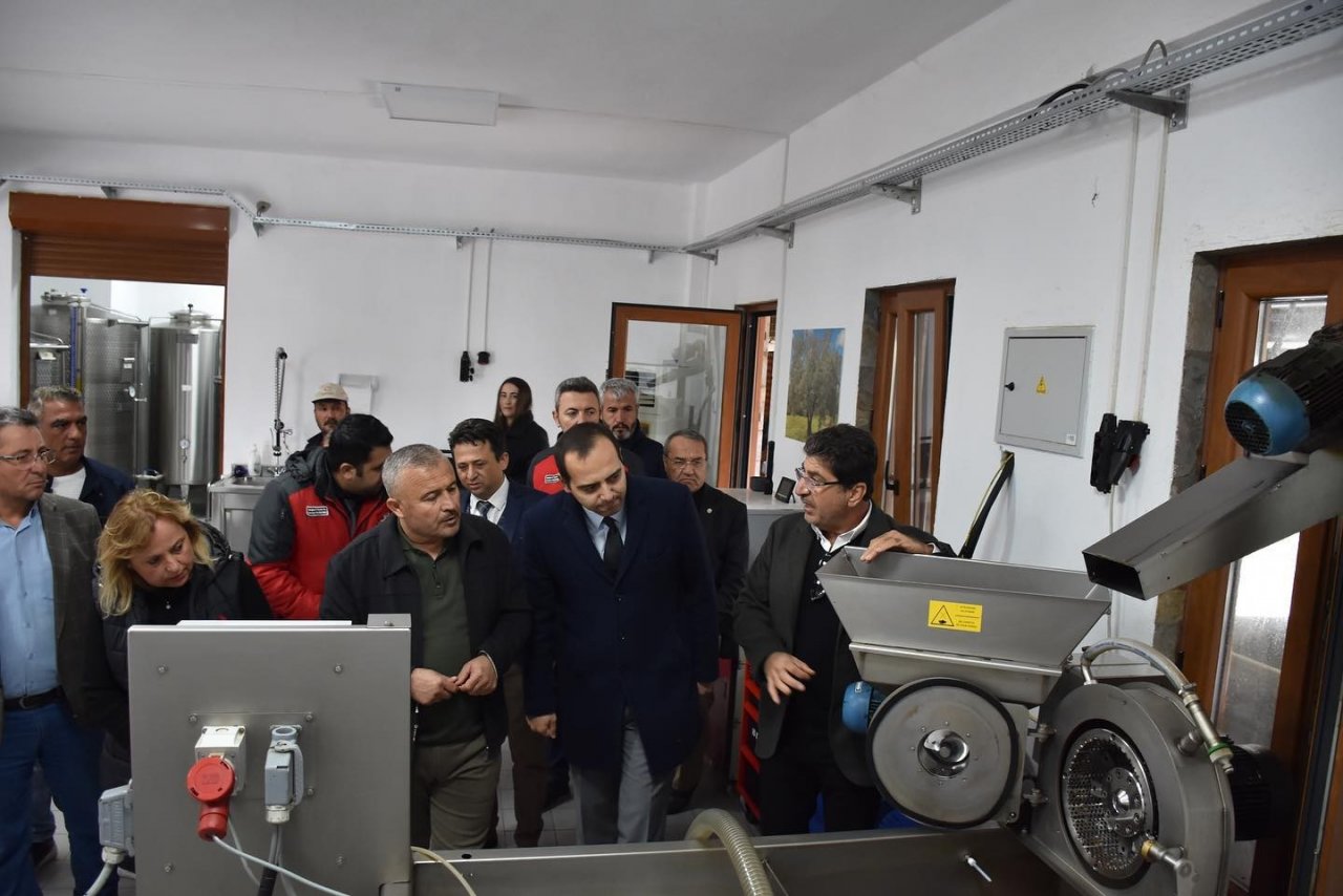 Muğla’da ’Dünya Zeytin Günü’ kutlandı