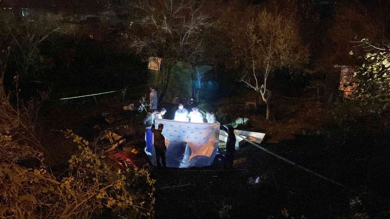 Ağaçlık alana uçan otomobil alev alev yandı: 1’i polis 2 kişi hayatını kaybetti