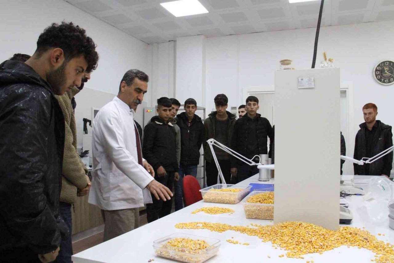 Diyarbakır’da meslek lisesi öğrencileri yem, hububat ve un analizi yaptı