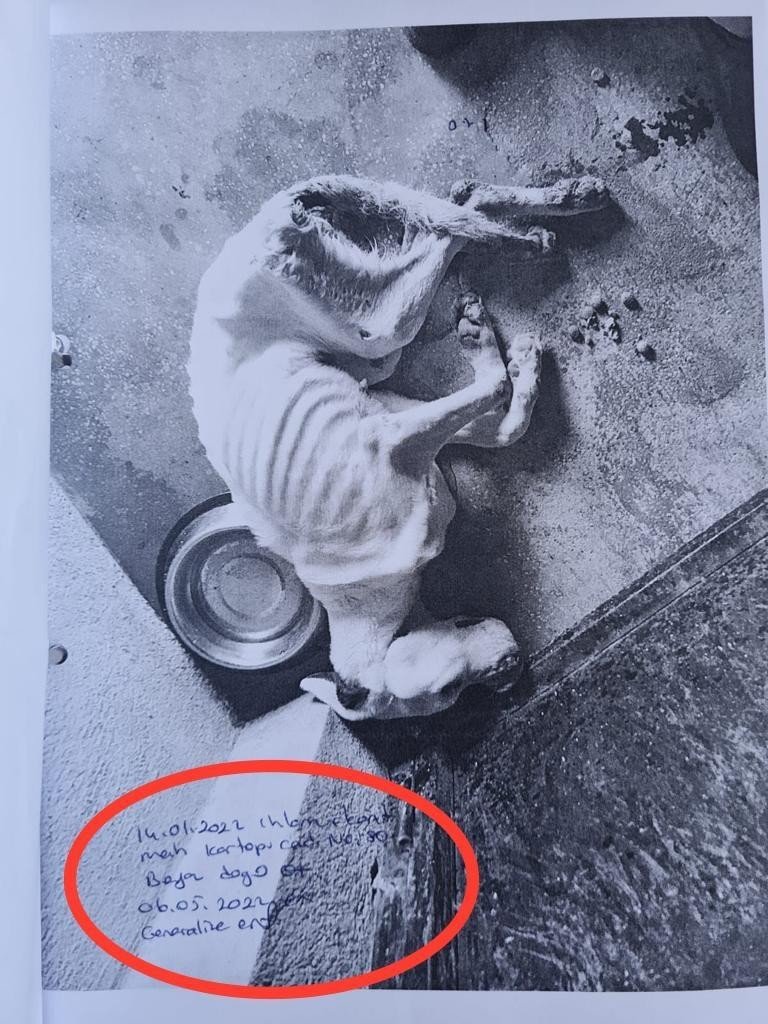 Skandal görüntülere ilginç savunma