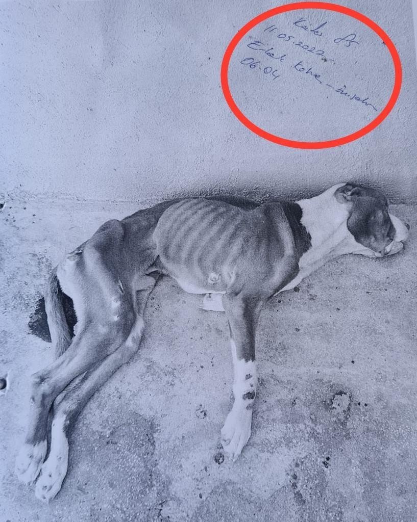 Skandal görüntülere ilginç savunma