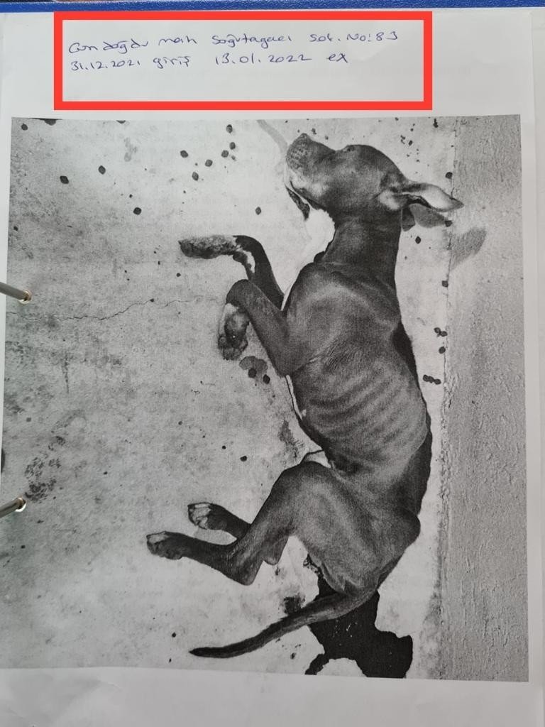 Skandal görüntülere ilginç savunma