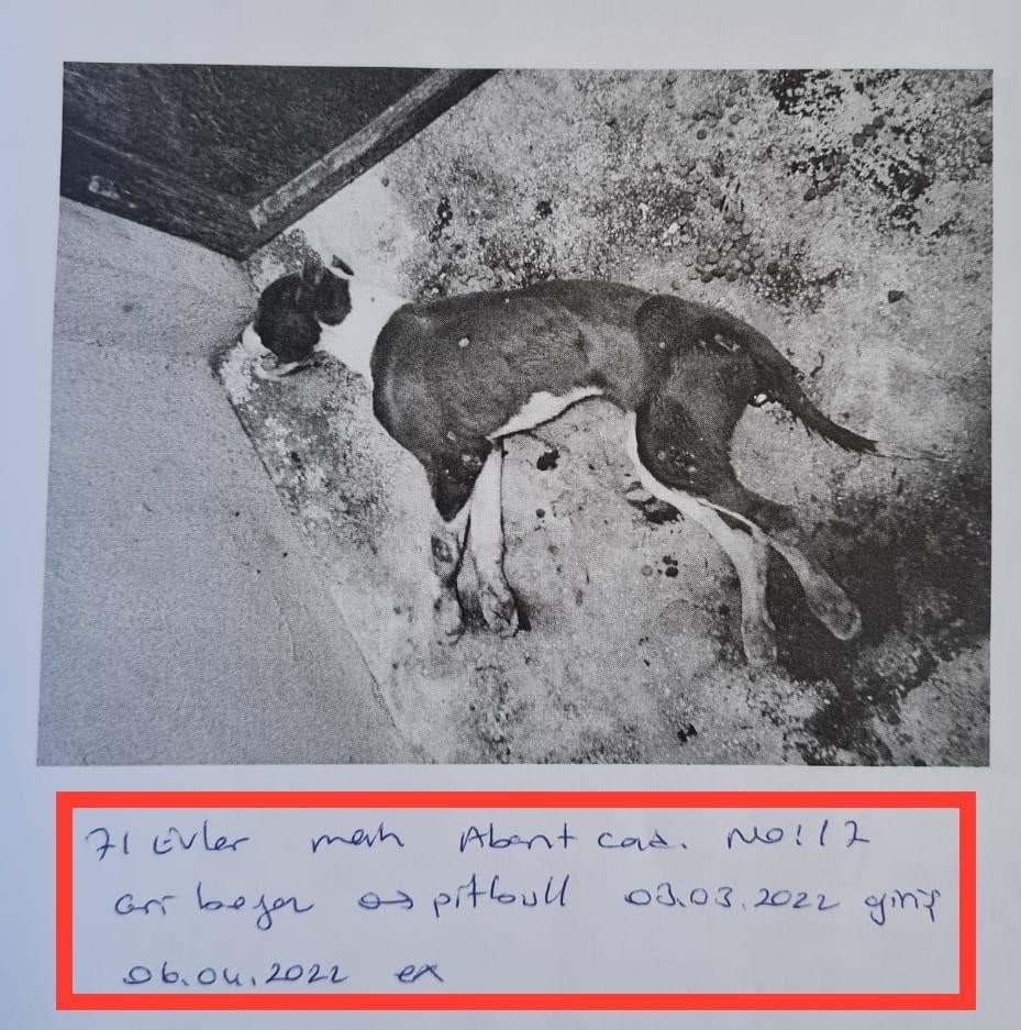 Skandal görüntülere ilginç savunma