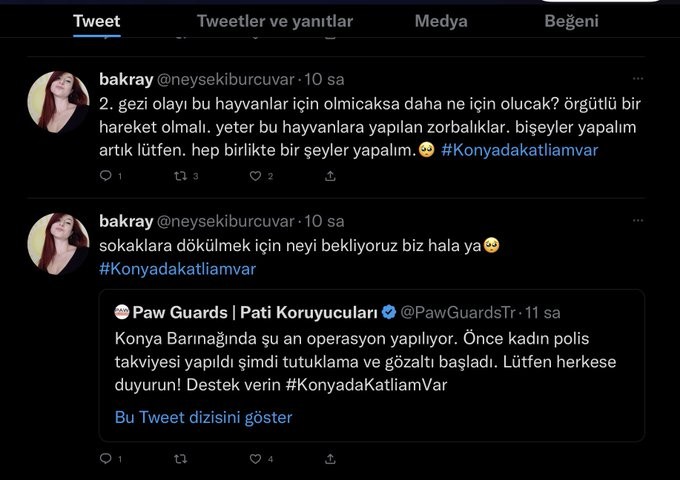 gezikalkismasicagrisi.jpg