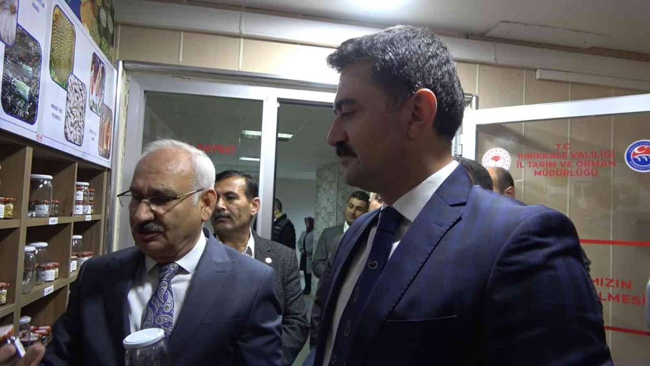 Ata tohumları muhafaza ediliyor