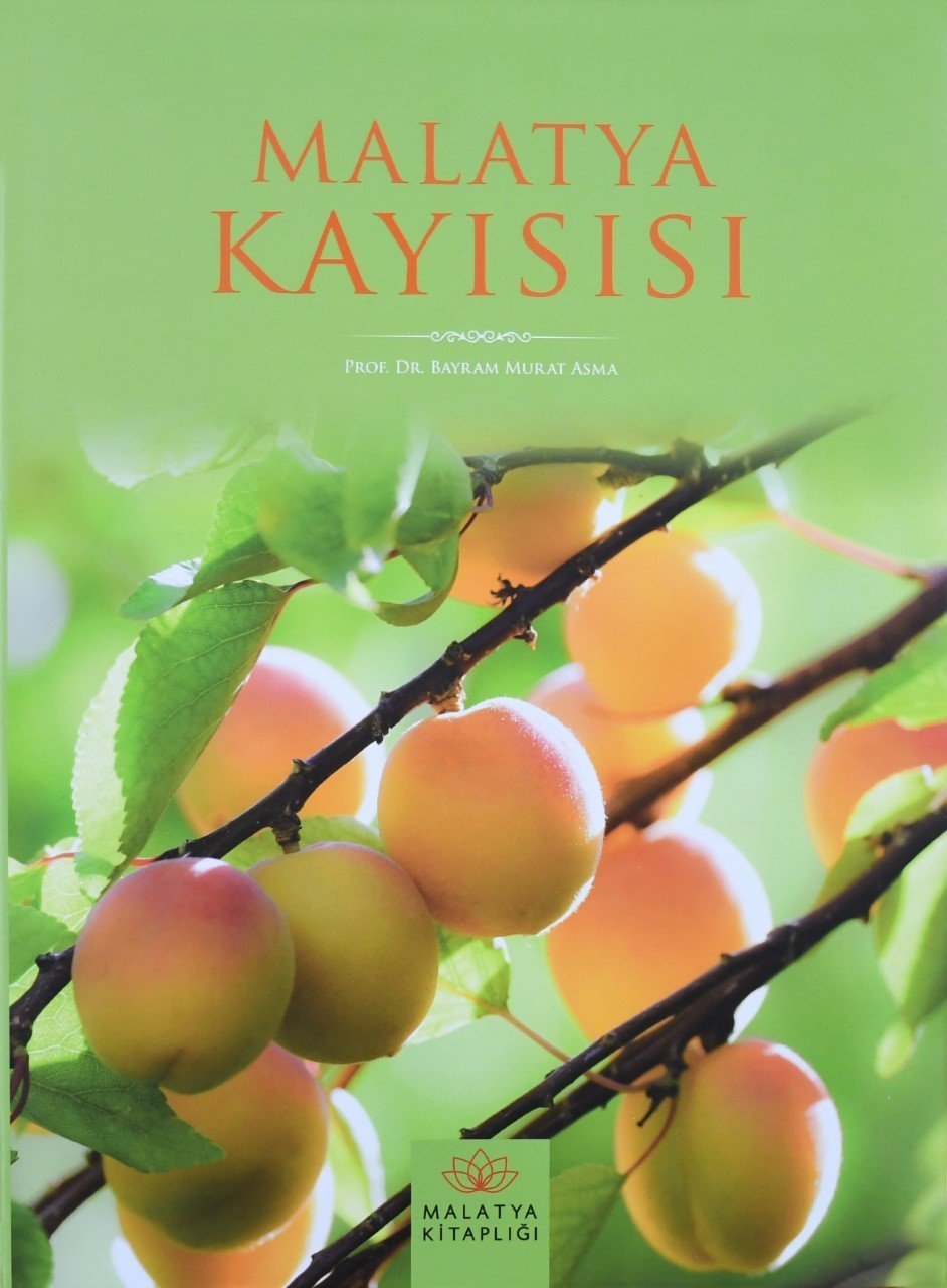 Malatya kayısısı kitabı finalde yarışacak