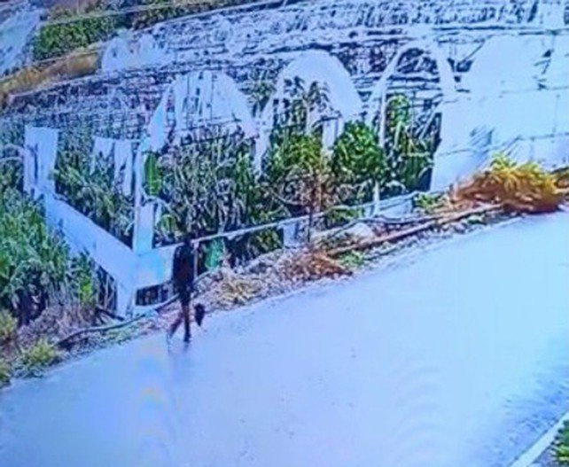 6 gündür kayıp olan Sedanur için köylüler de seferber oldu