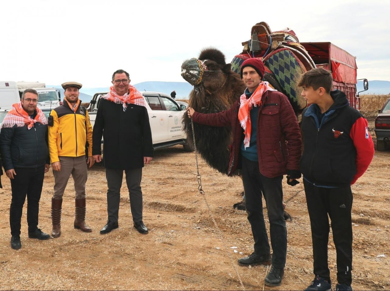 Pehlivan develer, 50 yıl sonra Tavas arenasında boy gösterdi