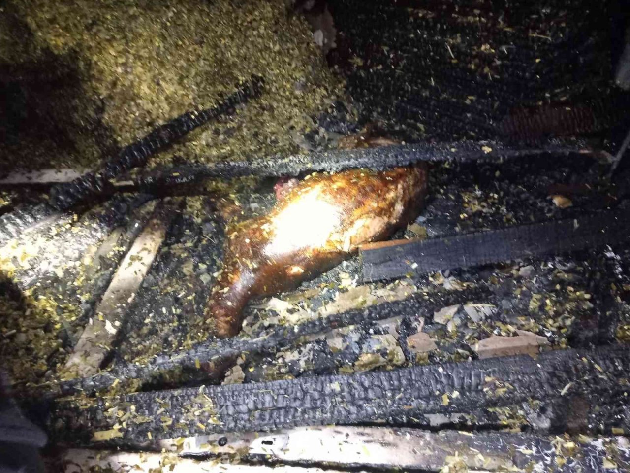 Evde çıkan yangın ahır ve samanlığa sıçrayınca 7 küçükbaş hayvan telef oldu