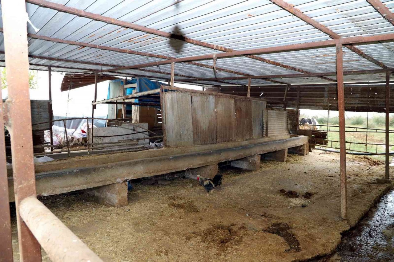 Akdeniz Belediyesi kaçak yapıları yıktı