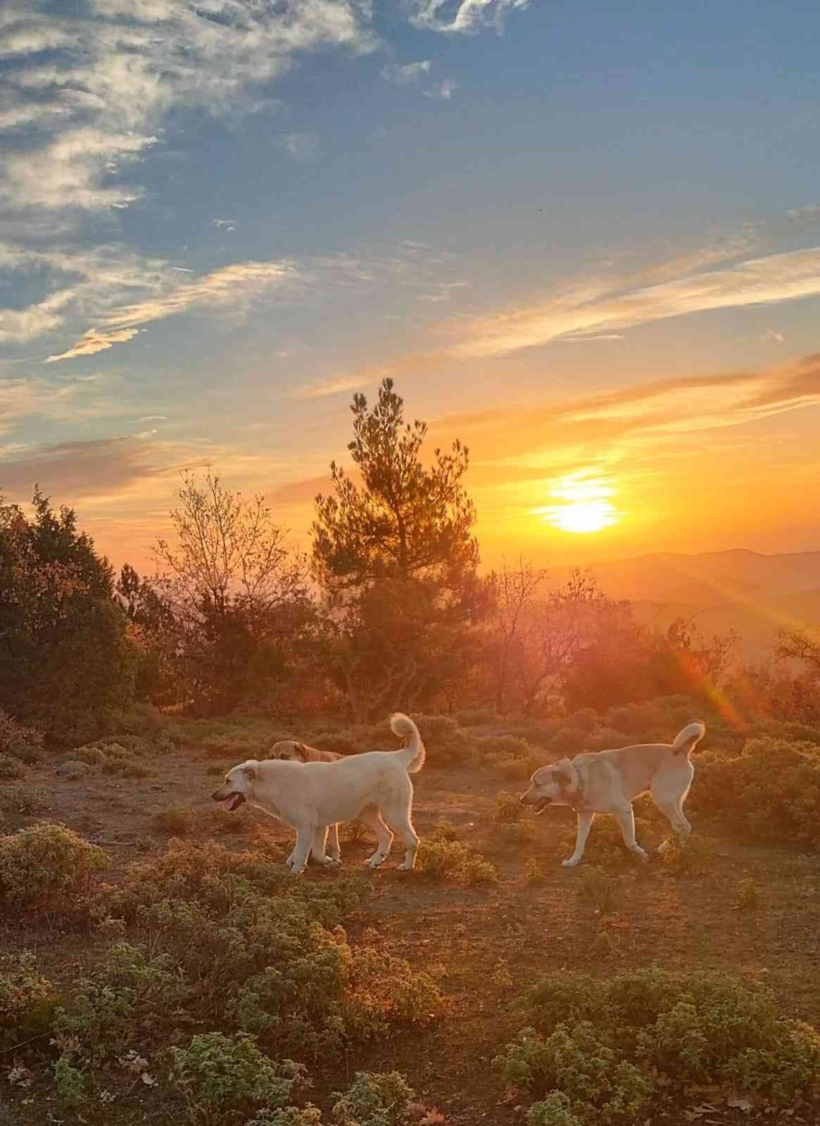 İnsanın içini ısıtan buluşma