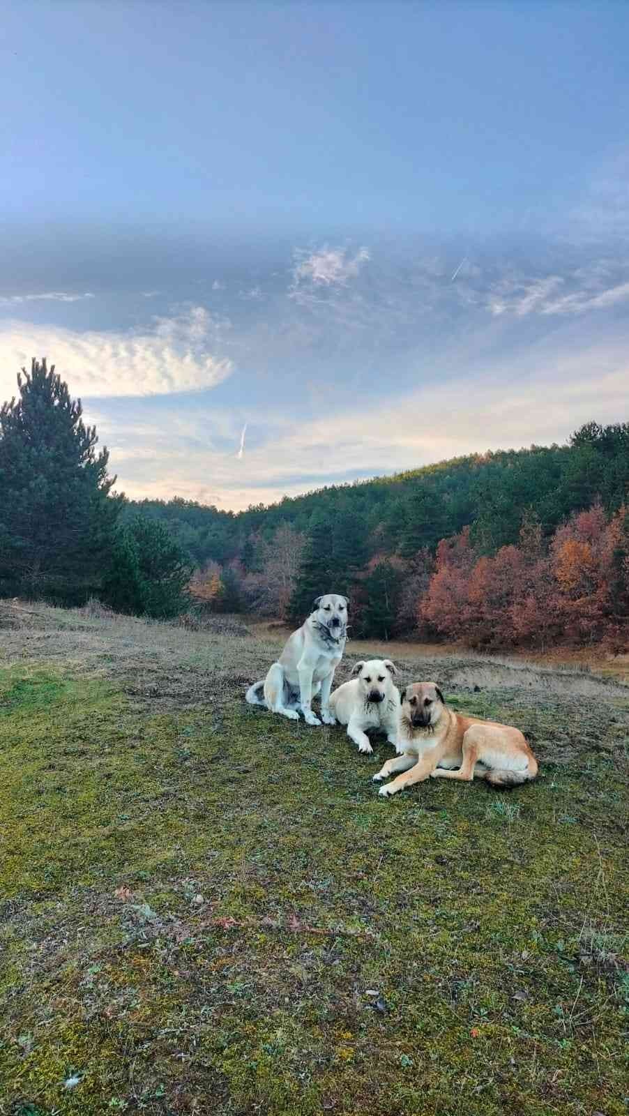 İnsanın içini ısıtan buluşma