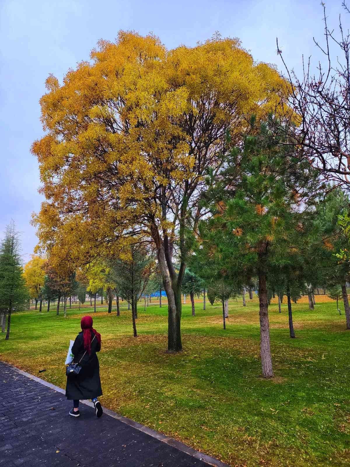 Kampüste sonbahar güzelliği